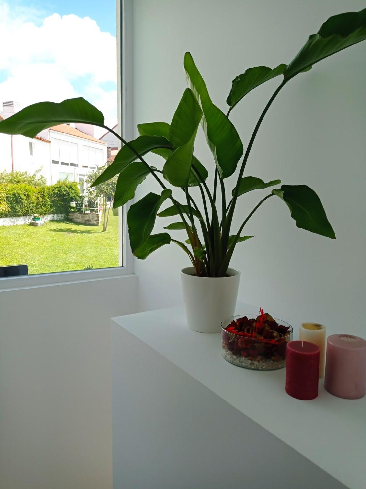 Casas Turisticas Lar Jardin - Parking Privado Santiago de Compostela Luaran gambar