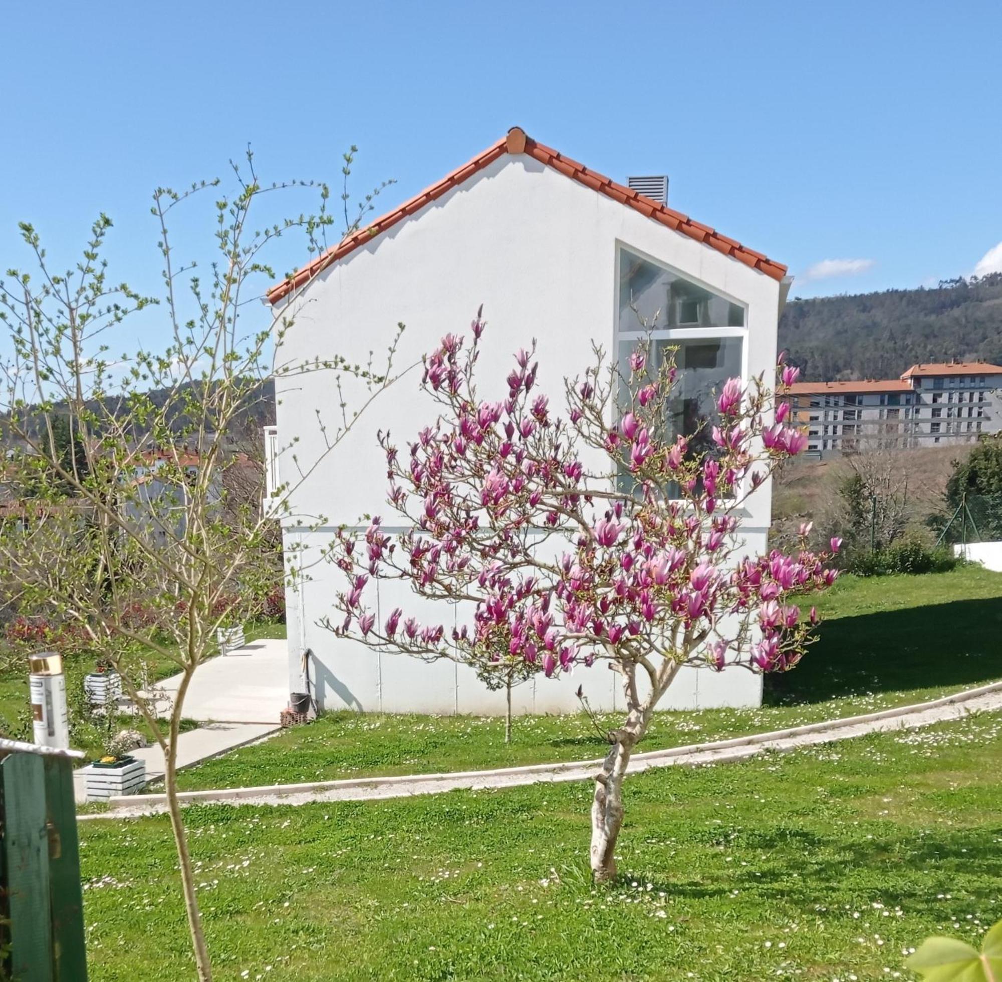 Casas Turisticas Lar Jardin - Parking Privado Santiago de Compostela Luaran gambar